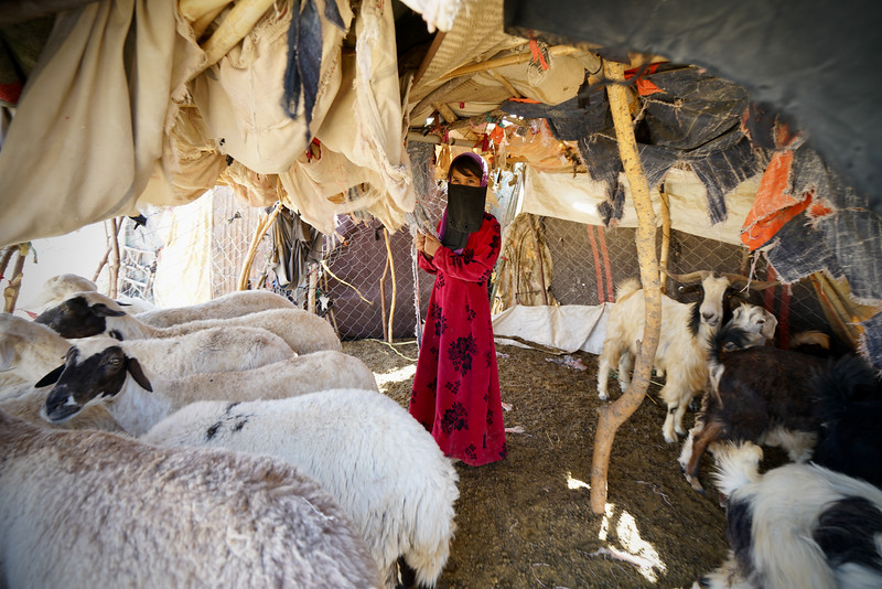 Yemen al borde del abismo: Imágenes de una crisis humanitaria