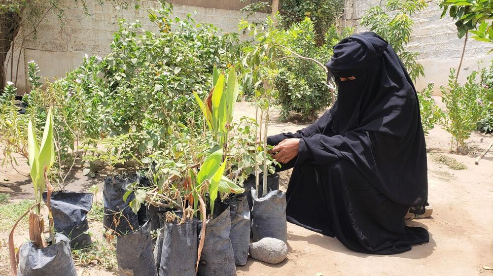 A woman kneels at an outdoor farm and works with fruit and vegetable plants.