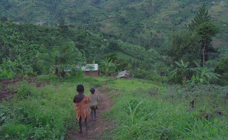 Two young boys walking home on a grassy path.