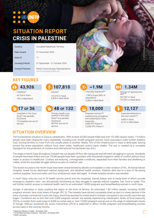 Palestine Situation Report #11 - November 2024