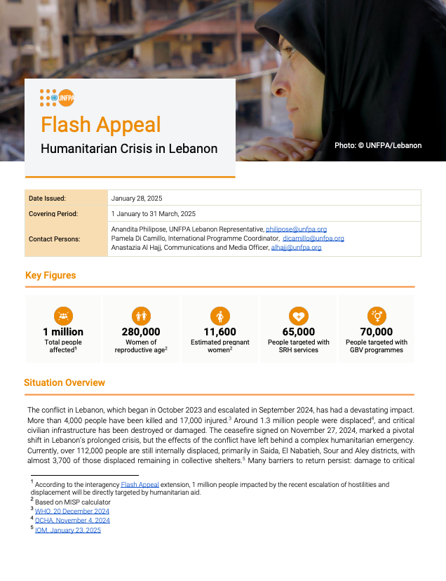 Lebanon Flash Appeal - January 2025