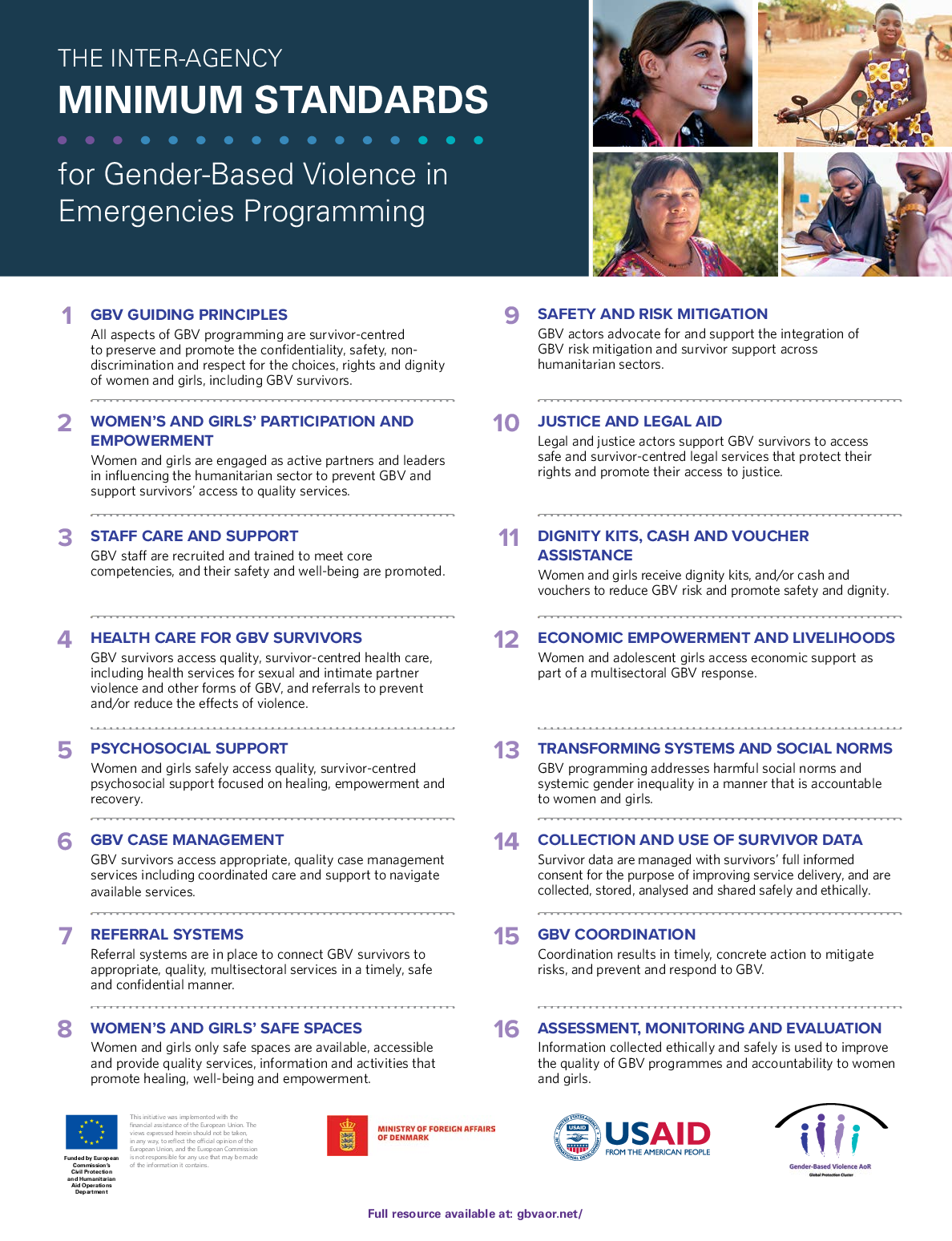 Poster: The Inter-Agency Minimum Standards for Gender-based Violence in Emergencies Programming