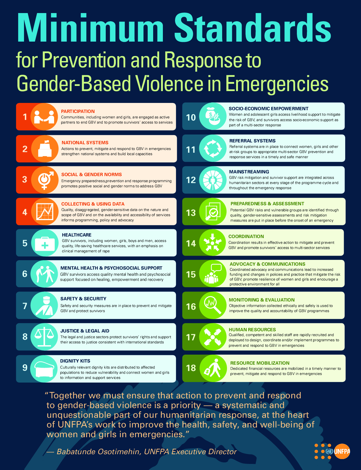 GBViE Minimum Standards Poster 