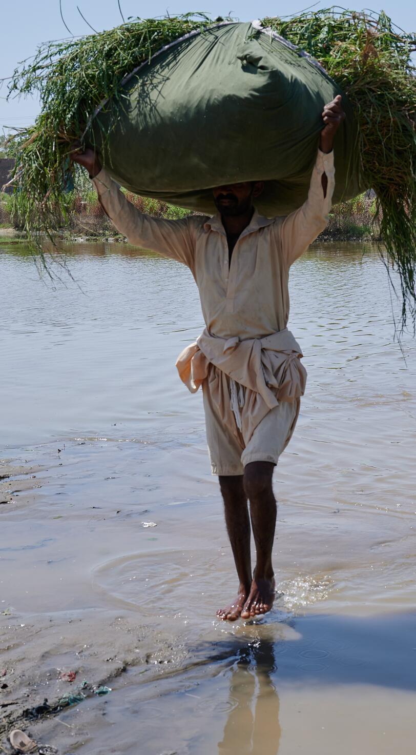 People carry belongings through water.