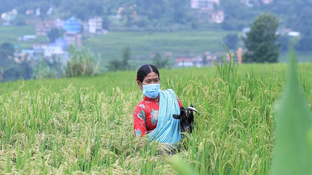 Una mujer con mascarilla camina por un campo.