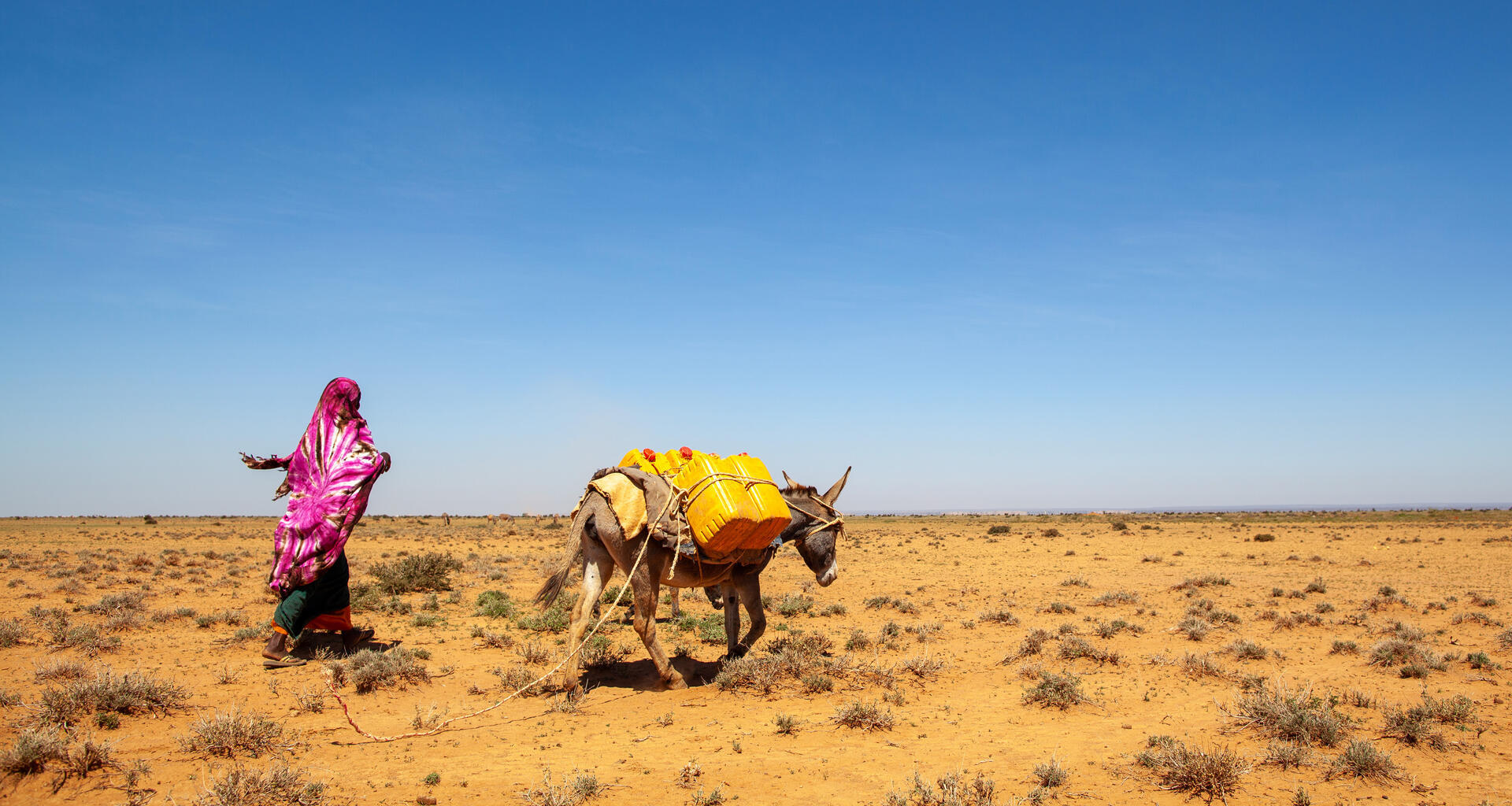 Una mujer y un animal cruzando un desierto.