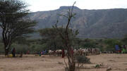 Drought in Kenya proves a setback to eliminating female genital mutilation