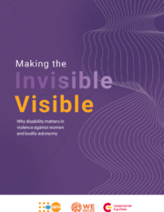 Making the Invisible Visible: Why disability matters in violence against women and bodily autonomy