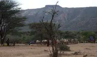 La sequía en Kenya es un revés para la eliminación de la...