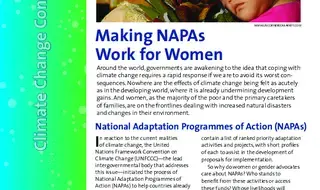 Making NAPAs Work for Women