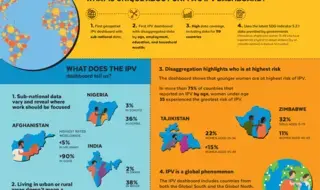 Intimate Partner Violence (IPV) Dashboard Infographic