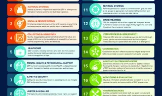 GBViE Minimum Standards Poster